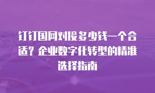 钉钉国网对接多少钱一个合适？企业数字化转型的精准选择指南