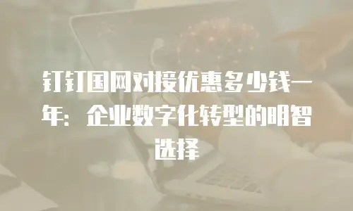 钉钉国网对接优惠多少钱一年：企业数字化转型的明智选择