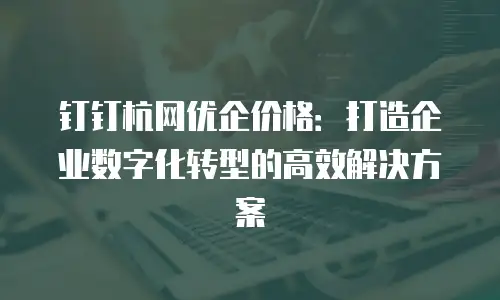 钉钉杭网优企价格：打造企业数字化转型的高效解决方案