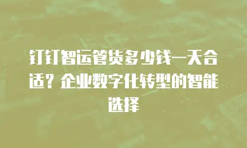 钉钉智运管货多少钱一天合适？企业数字化转型的智能选择