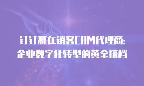 钉钉赢在销客CRM代理商：企业数字化转型的黄金搭档