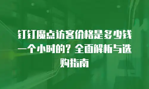 钉钉魔点访客价格是多少钱一个小时的？全面解析与选购指南