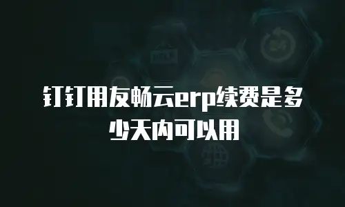 钉钉用友畅云erp续费是多少天内可以用