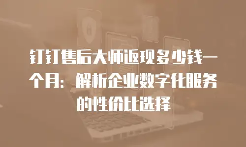 钉钉售后大师返现多少钱一个月：解析企业数字化服务的性价比选择