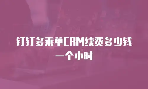 钉钉多乘单CRM续费多少钱一个小时