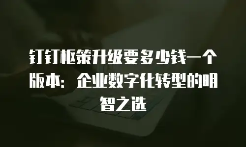 钉钉枢策升级要多少钱一个版本：企业数字化转型的明智之选