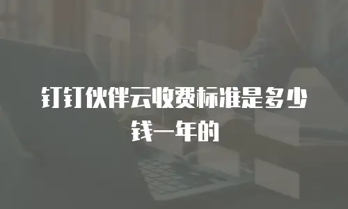 钉钉伙伴云收费标准是多少钱一年的