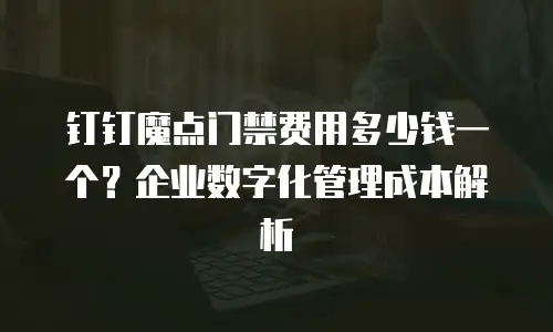 钉钉魔点门禁费用多少钱一个？企业数字化管理成本解析
