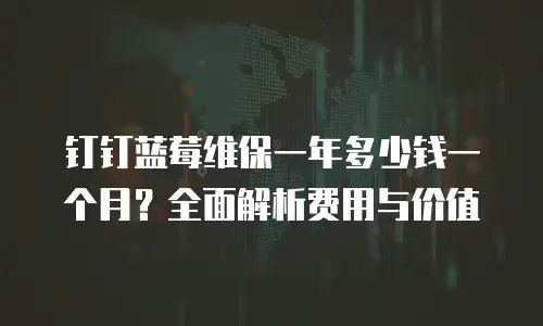 钉钉蓝莓维保一年多少钱一个月？全面解析费用与价值