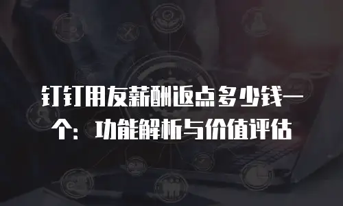 钉钉用友薪酬返点多少钱一个：功能解析与价值评估