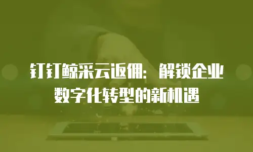钉钉鲸采云返佣：解锁企业数字化转型的新机遇