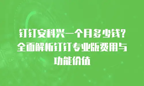 钉钉安科兴一个月多少钱？全面解析钉钉专业版费用与功能价值
