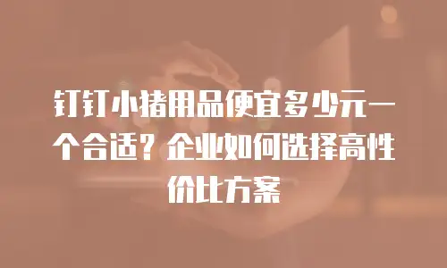 钉钉小猪用品便宜多少元一个合适？企业如何选择高性价比方案