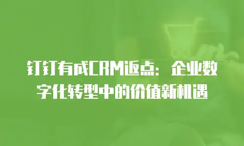 钉钉有成CRM返点：企业数字化转型中的价值新机遇