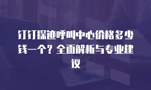 钉钉探迹呼叫中心价格多少钱一个？全面解析与专业建议