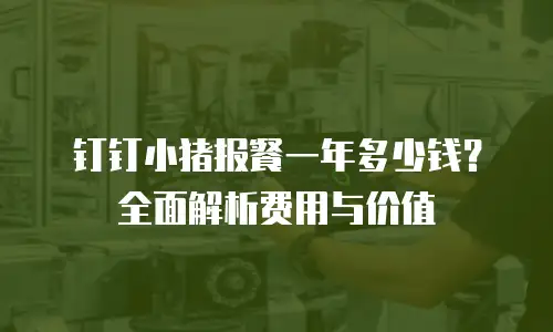 钉钉小猪报餐一年多少钱？全面解析费用与价值