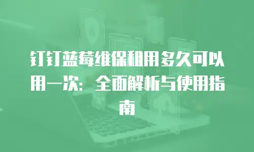 钉钉蓝莓维保租用多久可以用一次：全面解析与使用指南