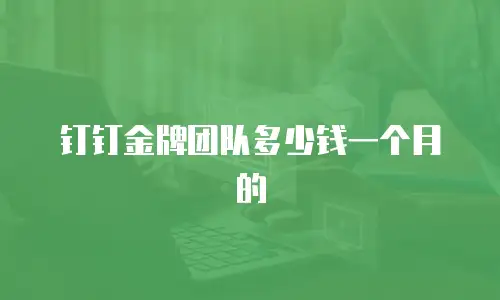 钉钉金牌团队多少钱一个月的