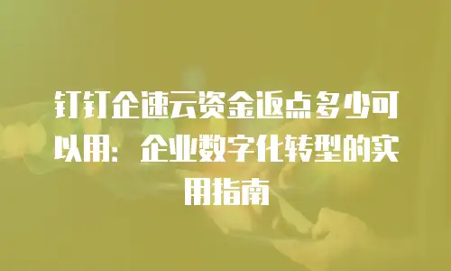 钉钉企速云资金返点多少可以用：企业数字化转型的实用指南