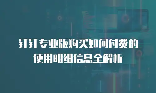 钉钉专业版购买如何付费的使用明细信息全解析