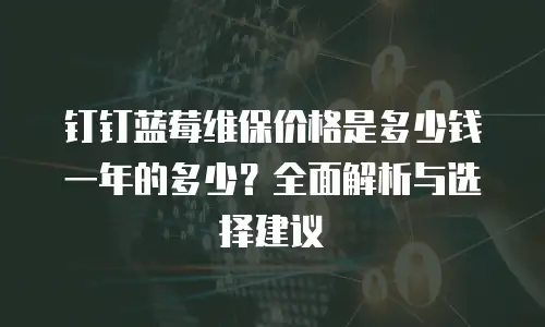 钉钉蓝莓维保价格是多少钱一年的多少？全面解析与选择建议