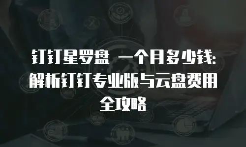 钉钉星罗盘 一个月多少钱：解析钉钉专业版与云盘费用全攻略