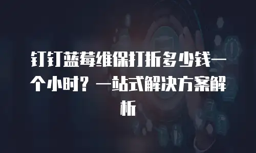 钉钉蓝莓维保打折多少钱一个小时？一站式解决方案解析