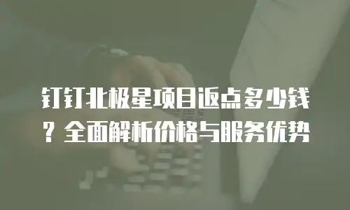 钉钉北极星项目返点多少钱？全面解析价格与服务优势