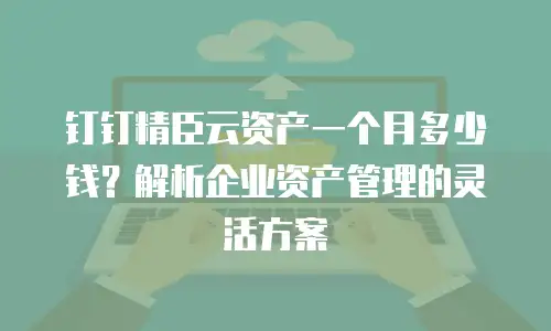 钉钉精臣云资产一个月多少钱？解析企业资产管理的灵活方案