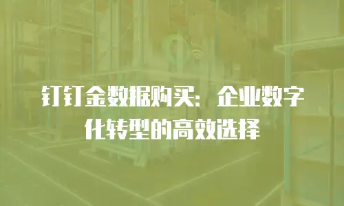 钉钉金数据购买：企业数字化转型的高效选择