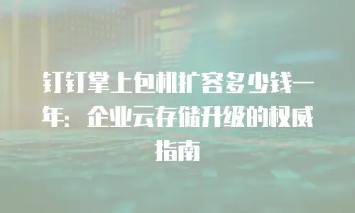 钉钉掌上包机扩容多少钱一年：企业云存储升级的权威指南