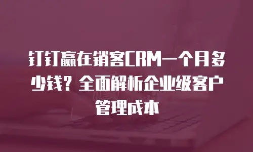 钉钉赢在销客CRM一个月多少钱？全面解析企业级客户管理成本