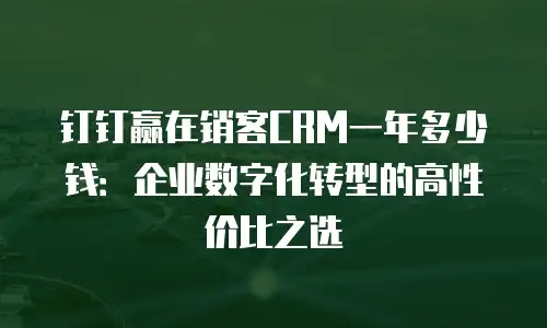 钉钉赢在销客CRM一年多少钱：企业数字化转型的高性价比之选