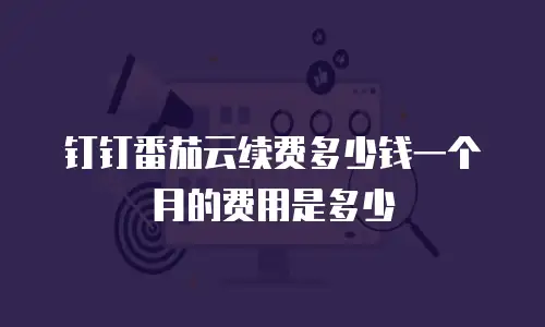 钉钉番茄云续费多少钱一个月的费用是多少