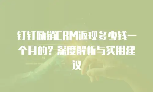 钉钉励销CRM返现多少钱一个月的？深度解析与实用建议