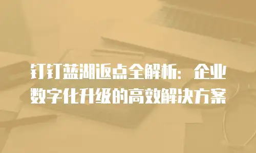 钉钉蓝湖返点全解析：企业数字化升级的高效解决方案