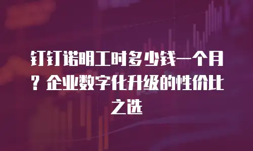钉钉诺明工时多少钱一个月？企业数字化升级的性价比之选