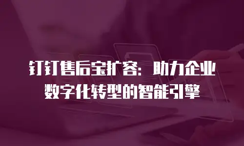 钉钉售后宝扩容：助力企业数字化转型的智能引擎