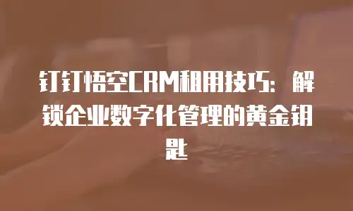 钉钉悟空CRM租用技巧：解锁企业数字化管理的黄金钥匙