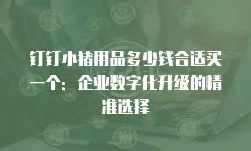 钉钉小猪用品多少钱合适买一个：企业数字化升级的精准选择