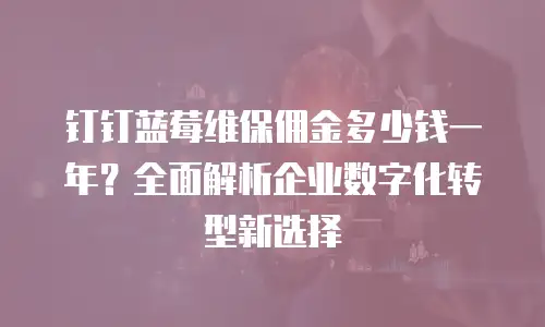 钉钉蓝莓维保佣金多少钱一年？全面解析企业数字化转型新选择
