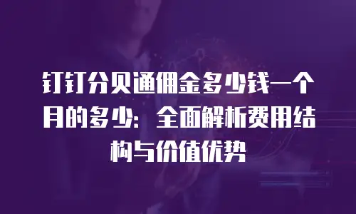 钉钉分贝通佣金多少钱一个月的多少：全面解析费用结构与价值优势