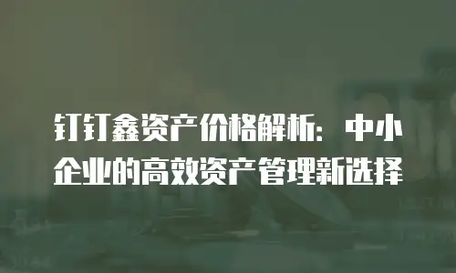 钉钉鑫资产价格解析：中小企业的高效资产管理新选择