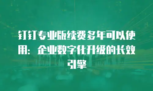钉钉专业版续费多年可以使用：企业数字化升级的长效引擎