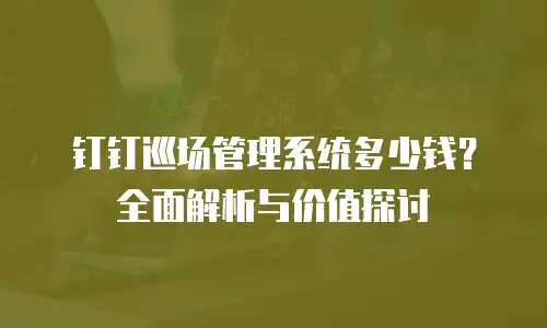 钉钉巡场管理系统多少钱？全面解析与价值探讨