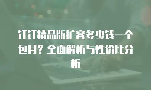 钉钉精品版扩容多少钱一个包月？全面解析与性价比分析