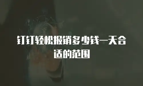 钉钉轻松报销多少钱一天合适的范围