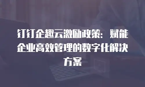 钉钉企趣云激励政策：赋能企业高效管理的数字化解决方案