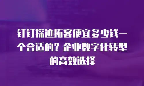 钉钉探迹拓客便宜多少钱一个合适的？企业数字化转型的高效选择