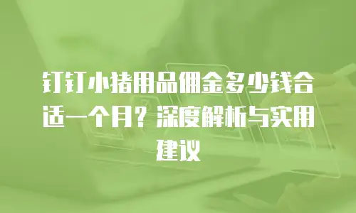 钉钉小猪用品佣金多少钱合适一个月？深度解析与实用建议